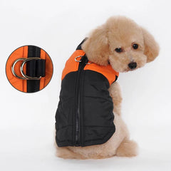 KUTKUT Waterproof and Warm Padded Zipper Winter Jackets for Dogs and Cats - kutkutstyle