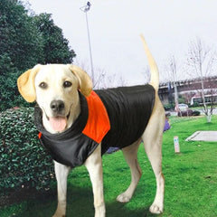 KUTKUT Waterproof and Warm Padded Zipper Winter Jackets for Dogs and Cats - kutkutstyle