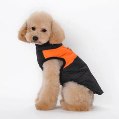 KUTKUT Waterproof and Warm Padded Zipper Winter Jackets for Dogs and Cats - kutkutstyle