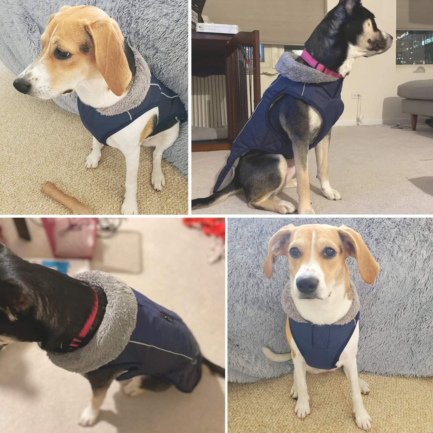 KUTKUT Waterproof Warm Dog Jacket, Dog Apparel with Fleece Neckline,Windproof Cozy Cold Weather Dog Coat Lining Winter Dog Thick Vest for Outdoor