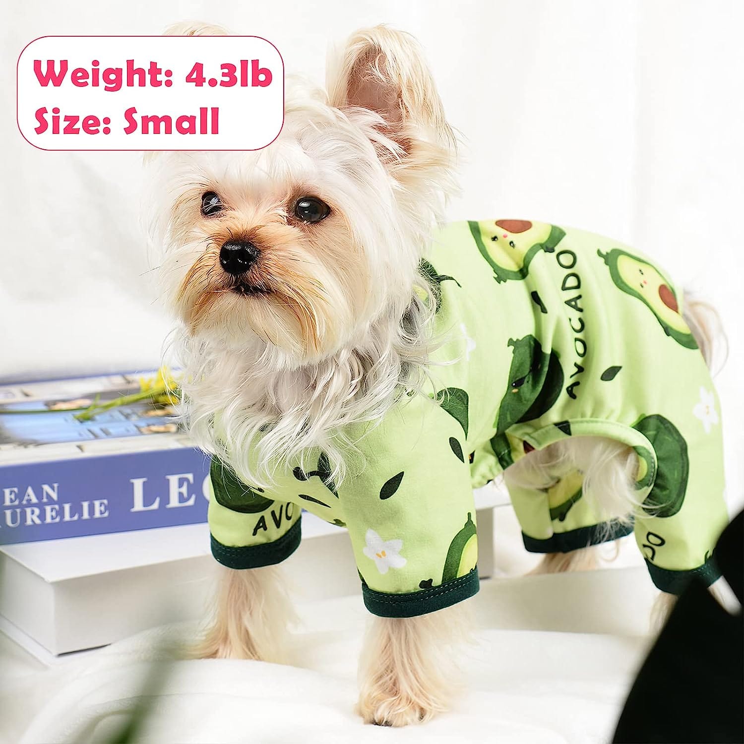 KUTKUT Small Dog Cat Bodysuit Pjs Spring Summer Autumn Dog Clothes for Puppies Cat Girl, Boy -Soft Stretchy Clothes Doggie Onesies Cat Pet Jammies For ShihTzu, Maltese - kutkutstyle