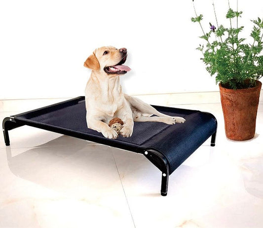 KUTKUT Anti -Moisture Elevated Dog Bed | Breathable & Washable Pet Cot for Small Medium and Large Dogs | Portable Durable Heavy Duty Steel Framed Raised Pet Cot - kutkutstyle