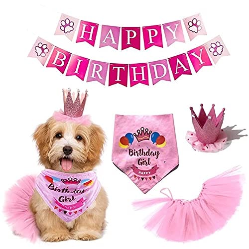 KUTKUT Dog Girl Birthday Bandana Hat Banner Set Cute Bow Tie Scarf Birthday Party Supplies Decorations. - kutkutstyle