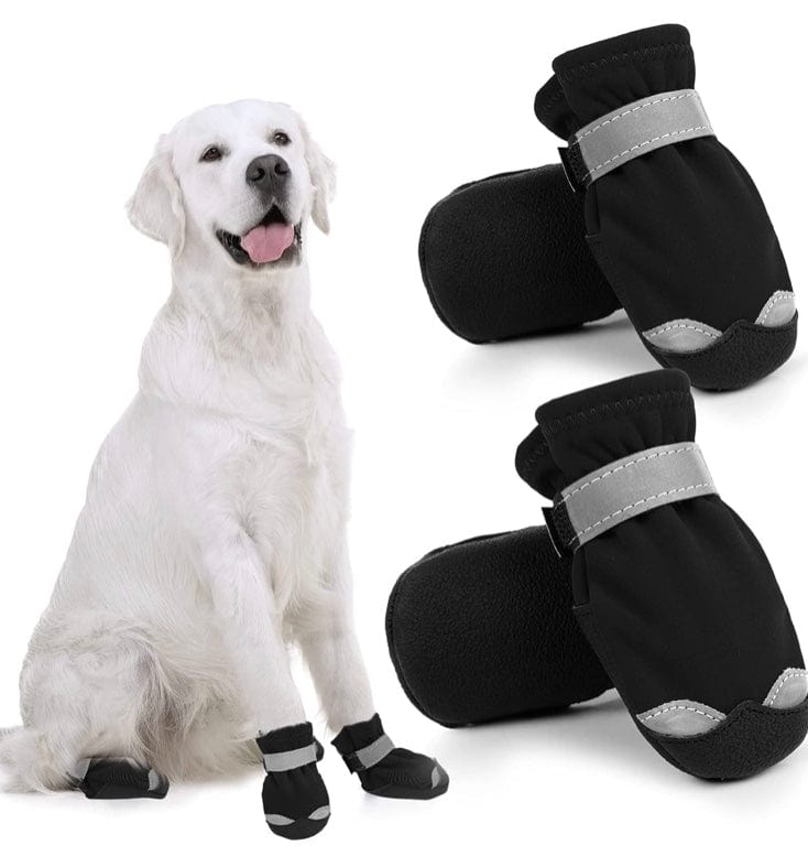 Shih store tzu booties