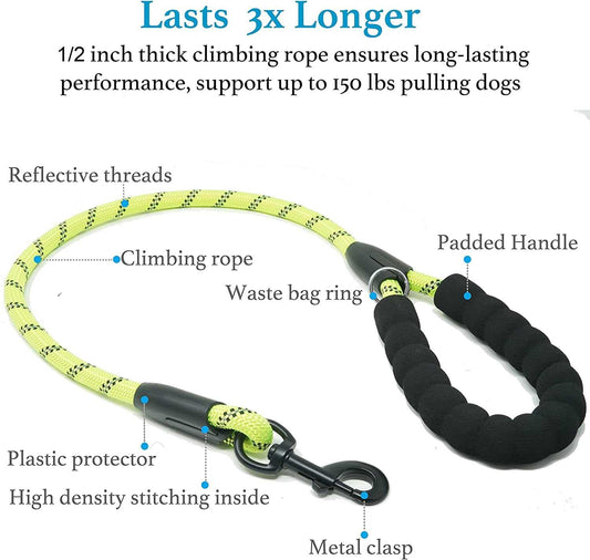 KUTKUT 2022 Adjustable & Comfortable Dual Dog Leash Coupler Splitter Tangle Free with Shock Absorbing Bungee Reflective 2 Dog Leashes for Small Medium Dogs - kutkutstyle