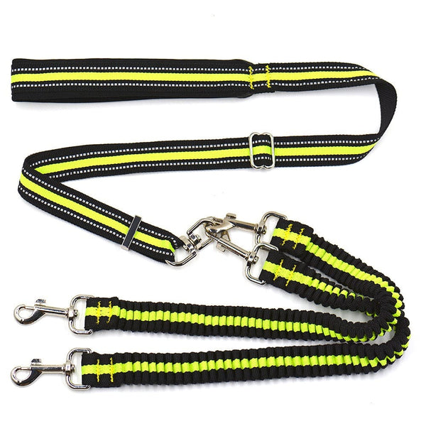 Double dog leash swivel best sale