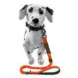 KUTKUT Bungee Dog Lead with Soft Padded Handle,Adjustable Anti-Pull Dog Leash,Strong Reflective Thread Dog Leads with Traffic Handle for Medium Large Dogs (Orange) - kutkutstyle