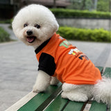 KUTKUT Small Dog & Cat Haloween T-Shirt | Breathable Trick for Treats Printed Half Sleeves Tee Shirt for Small Dogs Chihuahua, Yorkie Shih Tzu (Orange, Size: L, Chest Girth 46 cm, Back Length 36 cm)-kutkutstyle