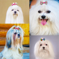 KUTKUT 40Pcs Dog Cat Girl Hair Bows with Rubber Bands, Dog Hair Bowknot for Small Dogs Puppy Pet Grooming Bows Dog Cat Hair Accessories for ShihTzu, Maltese, Bichon, Poodle etc - kutkutstyle