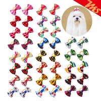 KUTKUT 40Pcs Dog Cat Girl Hair Bows with Rubber Bands, Dog Hair Bowknot for Small Dogs Puppy Pet Grooming Bows Dog Cat Hair Accessories for ShihTzu, Maltese, Bichon, Poodle etc-Pet Accessories-kutkutstyle