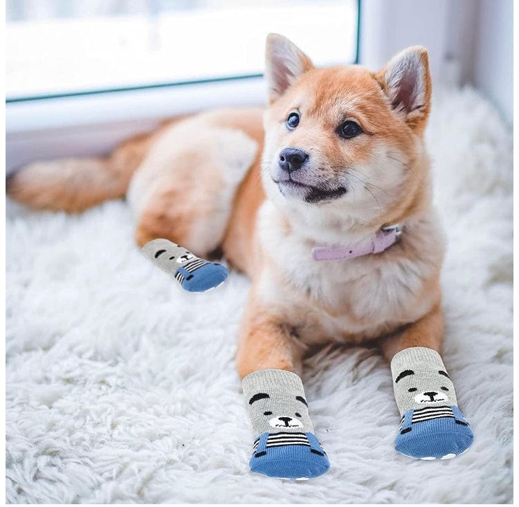 Big dog outlet socks