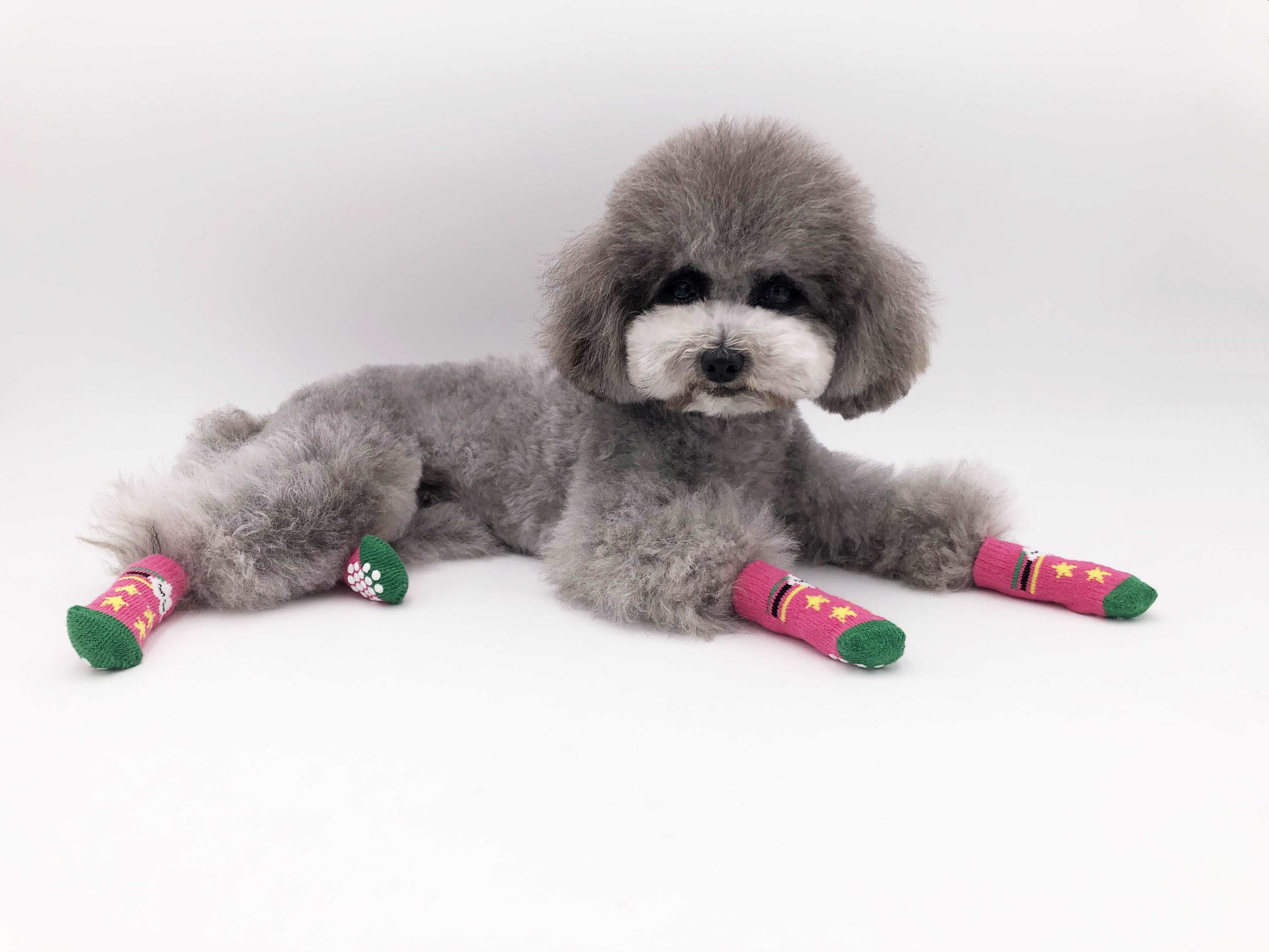 KUTKUT Anti-Slip New Born Puppy Socks with Cute Pattern | Pet Paw Protector Small Puppy Socks with 4 Pieces Adjustable Straps | Socks for Small Puppies, Kitten - kutkutstyle