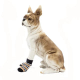 KUTKUT Anti-Slip Small Breed Dog Socks with Paw Pattern | Pet Paw Protector Puppy Socks with 4 Pieces Adjustable Straps | Socks for Shishtzu, Maltese, Chihuahua etc - kutkutstyle