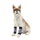 KUTKUT Knitted Small Dog Leg Warmer with Rubber Reinforcement | Dog Hock Protector & Joint Supports | Leg Hock Protector | Knee Pads for Small Dog and Cat - kutkutstyle
