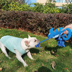 KUTKUT Squeaky Plush Stuffed Chameleon Knotted Cotton Rope Interactive Dog Toy - kutkutstyle