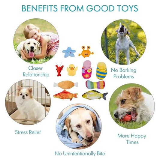 KUTKUT Squeaky Plush Toy for Puppy, Small Dogs & Cats. - kutkutstyle