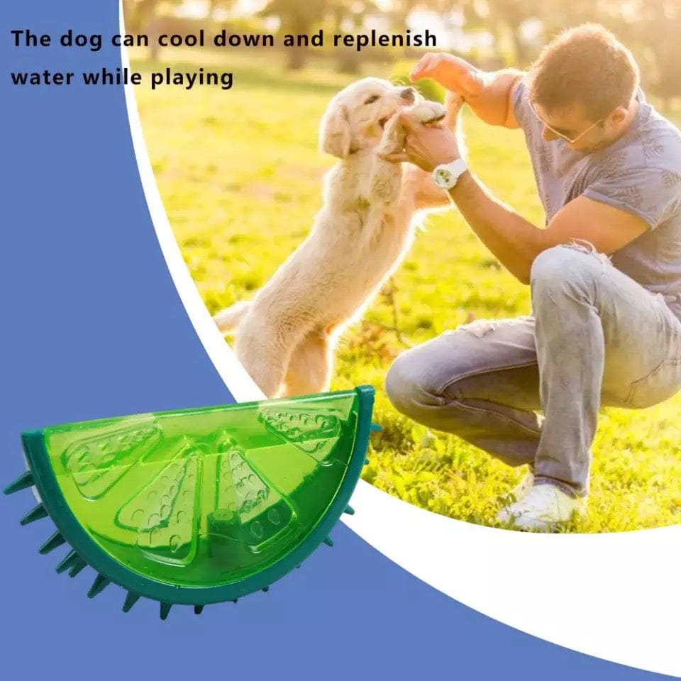 KUTKUT Freezable Pet Teether Cooling Chew Toy|Summer Fruit Lemon Design Durable Bite-Resistant Dog Ice Chewing Toy for Dogs Teething Toy for Puppies