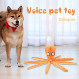 KUTKUT No Stuffing Crinkle Plush Squeaky Dog Toy for Puppy Teething Chew Toys, Durable for Interactive Dog Chew Toys, Fit for Small/Medium Dogs (Orange) - kutkutstyle