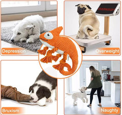 KUTKUT Plush Dog Squeaky Toys, Durable Rope Dog Chew Toys for Puppy Small Medium Breed Teeth Cleaning, Interactive Stuffed Animals Toys- Cute Chameleon-Squeaky-kutkutstyle