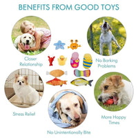 KUTKUT Fiber Plush Toy, Squeaky Toy, Soft Toy for Dogs-Squeaky-kutkutstyle
