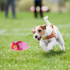KUTKUT Squeaky Plush Toy for Puppy and Small Dogs Rubber Squeaky Toy, Plush Toy for Dog & Cat - kutkutstyle
