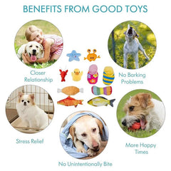 KUTKUT Squeaky Plush Toy for Puppy and Small Dogs Rubber Squeaky Toy, Plush Toy for Dog & Cat - kutkutstyle