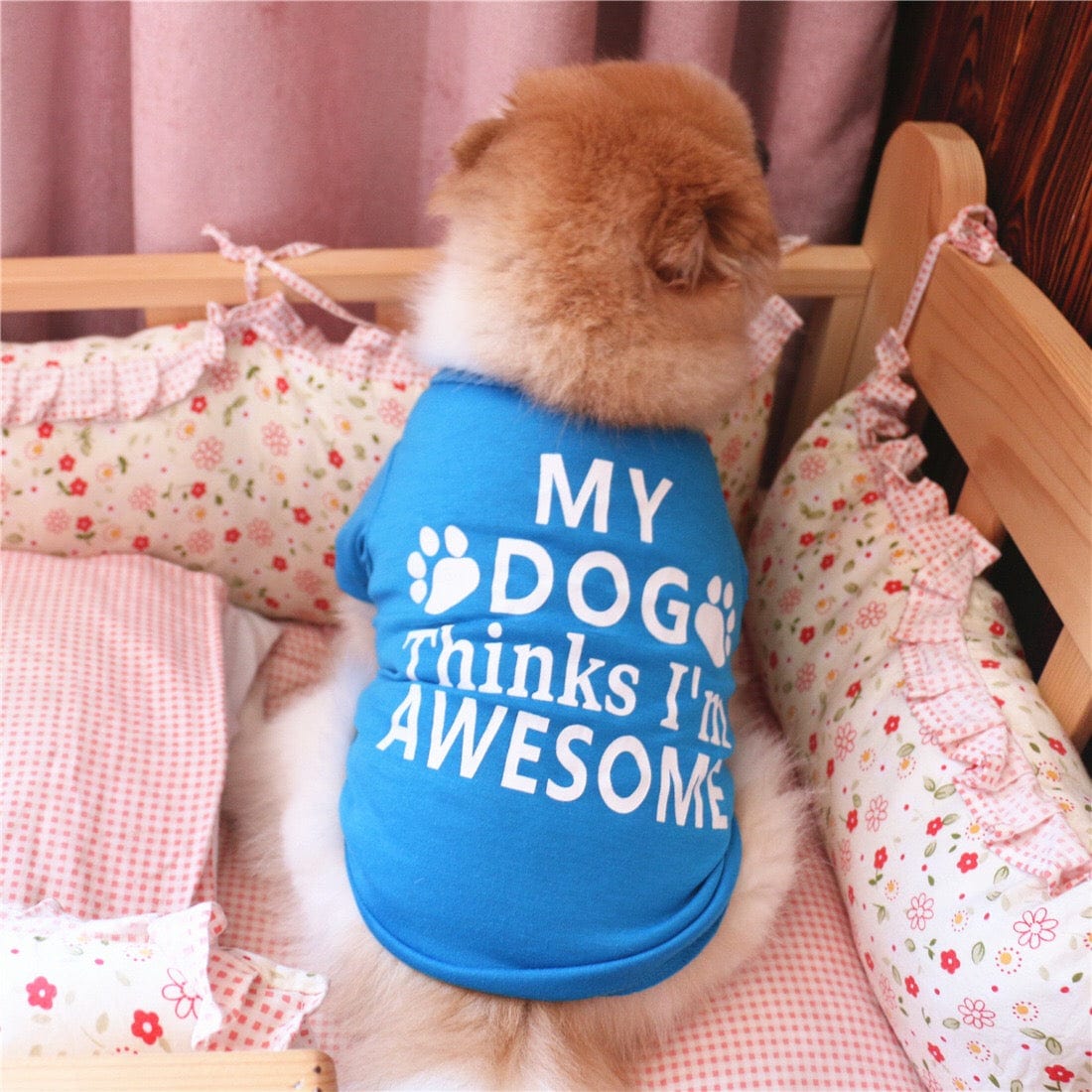 KUTKUT Small Dog & Cat T Shirt | Breathable I'm Awesome Printed Half Sleeves Tee Shirt for Small Dogs Chihuahua, Yorkie Shih Tzu (Blue, Size: L, Chest Girth 46 cm, Back Length 36 cm)-T-Shirt-kutkutstyle
