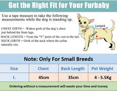 KUTKUT Small Dog & Cat T Shirt | Breathable I'm Awesome Printed Half Sleeves Tee Shirt for Small Dogs Chihuahua, Yorkie Shih Tzu (Blue, Size: L, Chest Girth 46 cm, Back Length 36 cm) - kutkut