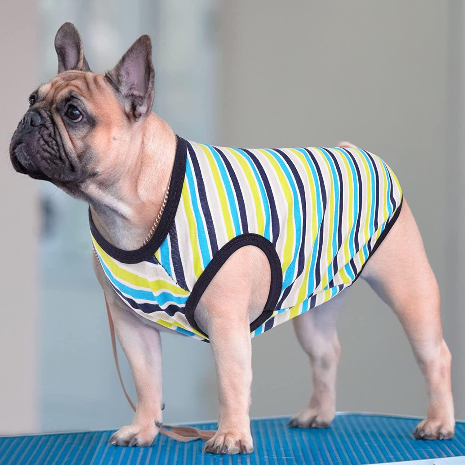 KUTKUT Drooling Stripe Print T-Shirt for Small Dogs & Cats | Breathable Cotton Sleeveless Shirt for ShishTzu, Maltese, Papillon,Toy Poodle etc (Size: L, Chest Girth 45cm, Back Length 35cm) - 