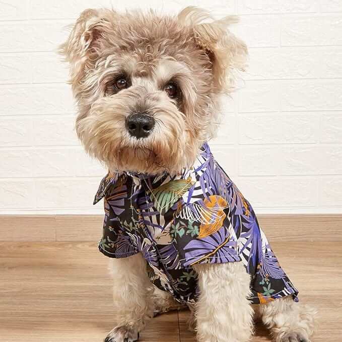 KUTKUT 2 Pack Hawaiian Dog & Cat Shirt - Pet Summer T-Shirts Breathable Dog Clothes for Small Dogs Cats Pets, Hawaii Style Polo Dog Shirts Beach Seaside Quick Dry Apparel-T-Shirt-kutkutstyle