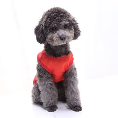 KUTKUT 2 Pcs Breathable Summer Clothes for Small Dogs, Fruits Pattern Mesh Vest Sleeveless Shirt for Maltese, Bichon, Papillon, Shihtzu etc - kutkutstyle