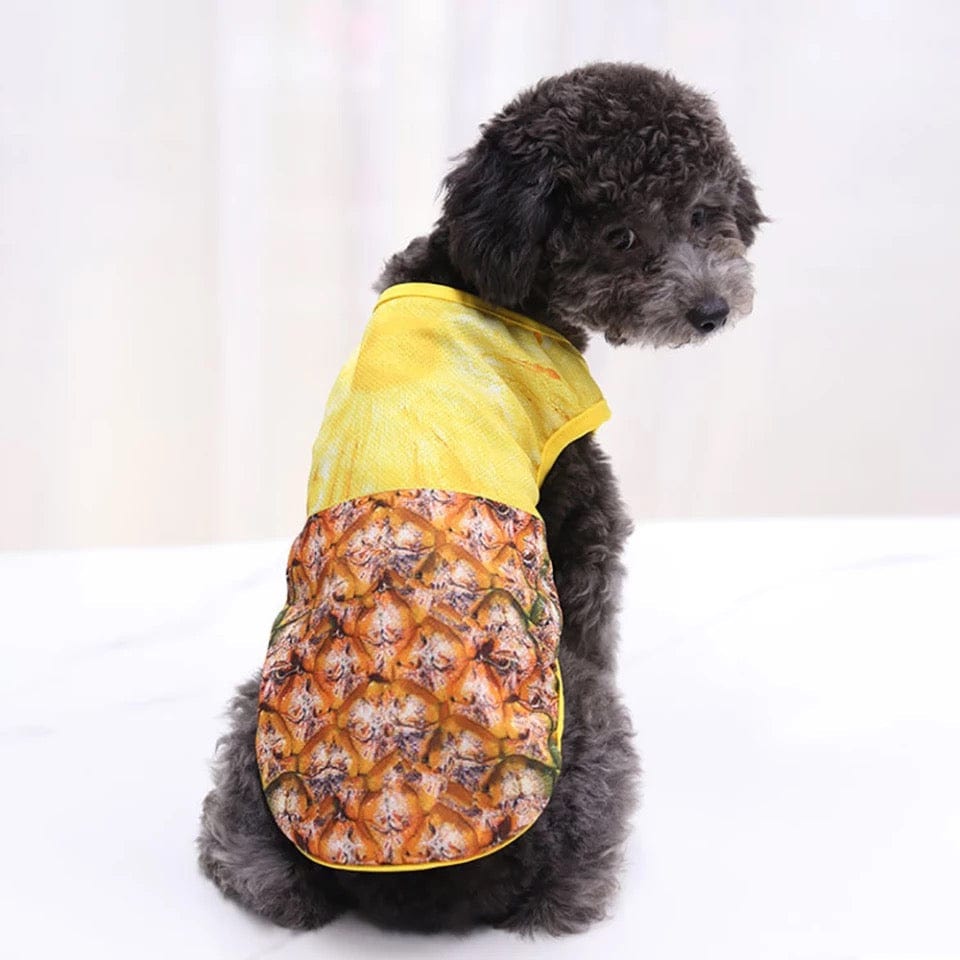 KUTKUT Breathable Summer Clothes for Small Dogs, Pineapple Fruit Pattern Mesh Vest Sleeveless Shirt for Maltese, Bichon, Papillon, Pekingese - kutkutstyle