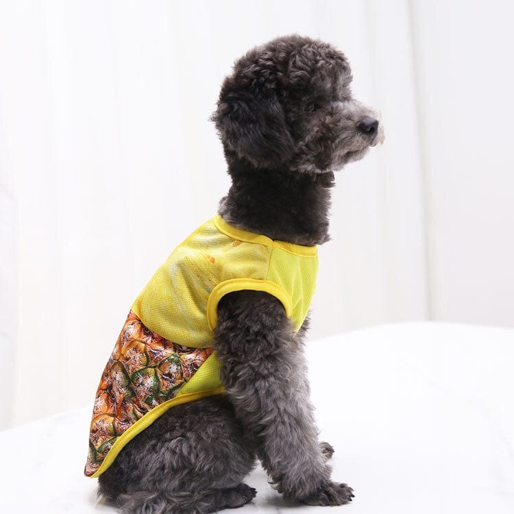 KUTKUT Breathable Summer Clothes for Small Dogs, Pineapple Fruit Pattern Mesh Vest Sleeveless Shirt for Maltese, Bichon, Papillon, Pekingese - kutkutstyle