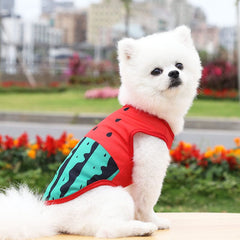 KUTKUT Breathable Summer Fruits Pattern Mesh Vest Sleeveless Shirt for Small Dogs and Cats - Red - kutkutstyle