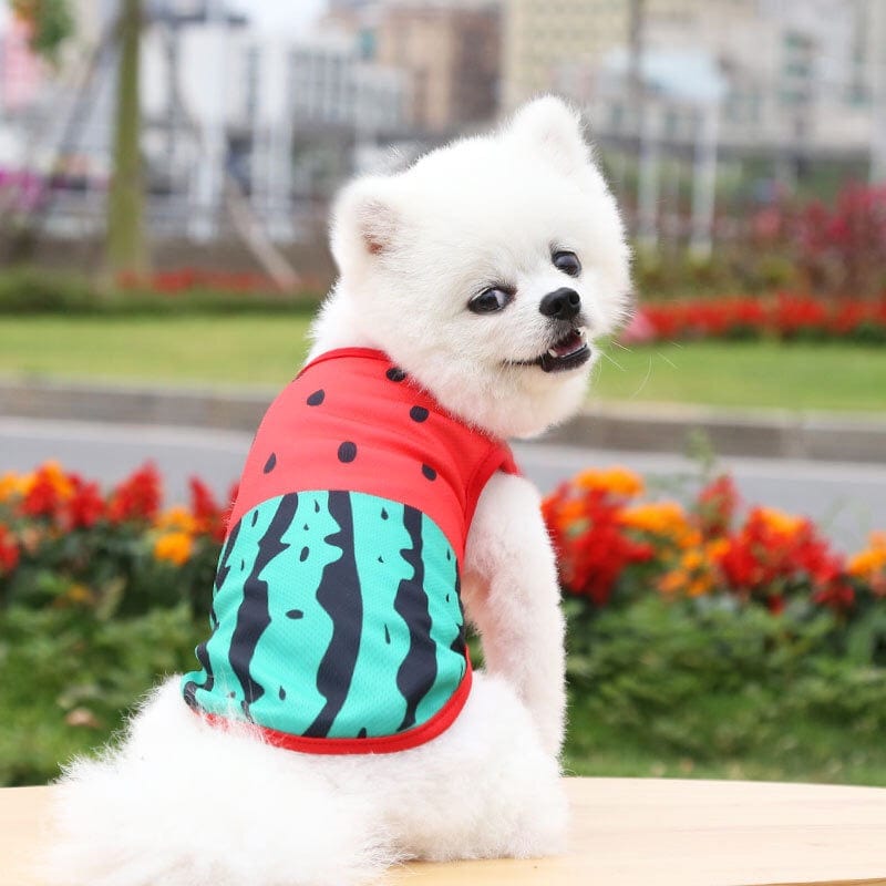 KUTKUT Breathable Summer Fruits Pattern Mesh Vest Sleeveless Shirt for Small Dogs and Cats - Red - kutkutstyle