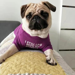 KUTKUT Combo of 2 Dog Breathable Stretchy Round Neck T-Shirt | Pet Puppy Cats Dog Summer T-Shirts Soft Cotton Clothes | French Bulldog Pug Shirt - kutkutstyle