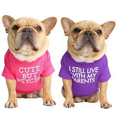 KUTKUT Combo of 2 Pet Dog Breathable Stretchy Round Neck T-Shirt| Pet Puppy Cats Dog Summer Soft Cotton Tshirt | French Bulldog Pug Shirt - kutkutstyle