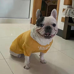 KUTKUT Combo of 2 Pug, French Bulldog Breathable Stretchy Round Neck T-shirt I | Pet Puppy Cats Dog Summer Vest T-shirts Soft Cotton Clothes| French Bulldog Dog Shirt - kutkutstyle