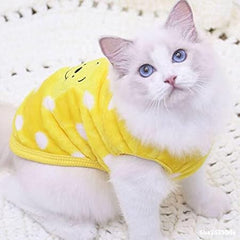 KUTKUT Combo of 2 Small Dog & Cat Clothes for Puppy Boy Girl | Winter Warm Cute Sweaters for Yorkie, Shih Tzu, Maltese, Lhasa Male Female - kutkutstyle