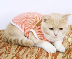 KUTKUT Combo of 2 Striped T-Shirt Puppy Clothes for Small Dogs, Kitten, Summer Cotton Vest Doggy Tee Tank Top for Maltese, Bichon, Papillon, Pekingese - kutkutstyle