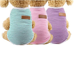 KUTKUT Combo of 3 Striped T-Shirt Puppy Clothes for Small Dogs, Kitten, Summer Cotton Vest Doggy Tee Tank Top for Maltese, Bichon, Papillon, Shihtzu etc & Cats - kutkutstyle