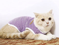 KUTKUT Combo of 3 Striped T-Shirt Puppy Clothes for Small Dogs, Kitten, Summer Cotton Vest Doggy Tee Tank Top for Maltese, Bichon, Papillon, Shihtzu etc & Cats - kutkutstyle