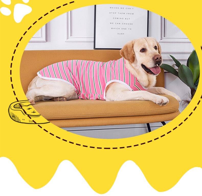 KUTKUT Cotton Striped Dog Shirts for Medium/Large Dogs | Breathable Stretchy Fashion Big Dogs Clothes for Beagle, Corgi, Husky, Labarador, Golden Retriver, Samoyed etc - kutkutstyle