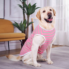 KUTKUT Cotton Striped Dog Shirts for Medium/Large Dogs | Breathable Stretchy Fashion Big Dogs Clothes for Beagle, Corgi, Husky, Labarador, Golden Retriver, Samoyed etc - kutkutstyle