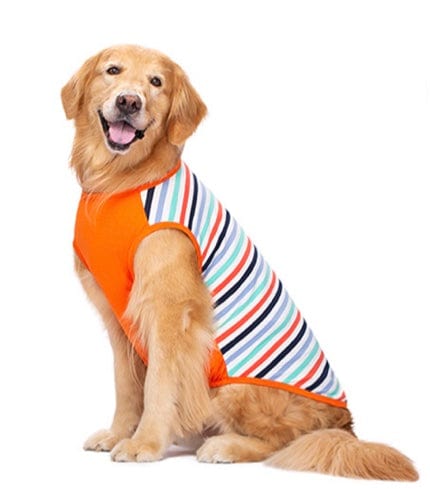 KUTKUT Cotton Striped T- Shirt for Medium/Large Dogs | Breathable Stretchy Fashion Big Dogs Clothes for Beagle, Corgi, Husky, Labarador, Golden Retriver, Samoyed etc - kutkutstyle