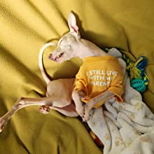KUTKUT Dog Breathable Stretchy Round Neck T-Shirt I Still Live with My Parents Pet Puppy Cats Dog Summer Vest T-Shirts Soft Cotton Clothes| French Bulldog Dog Shirt - kutkutstyle