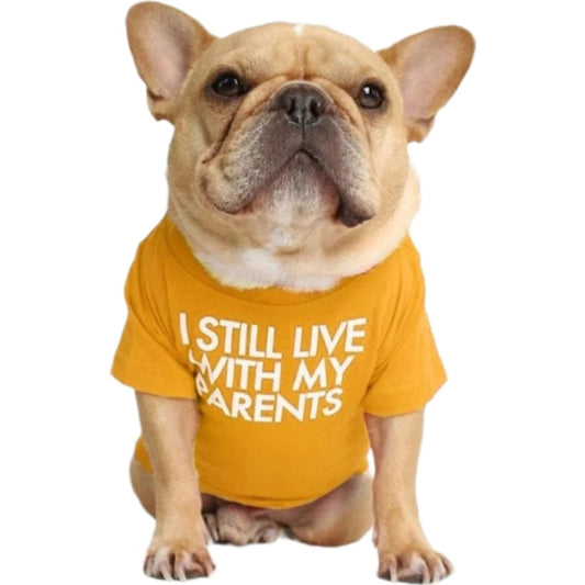 KUTKUT Dog Breathable Stretchy Round Neck T-Shirt I Still Live with My Parents Pet Puppy Cats Dog Summer Vest T-Shirts Soft Cotton Clothes| French Bulldog Dog Shirt - kutkutstyle