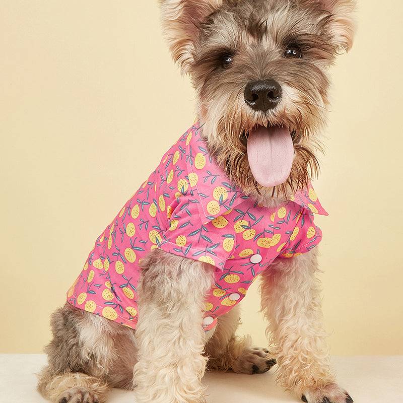 KUTKUT Dog & Cat Printed Polo Shirt | Hawaiian Style Sun Protection Lightweight Pet Clothes for Yorky Maltese Shishtzu Small Dogs - kutkutstyle