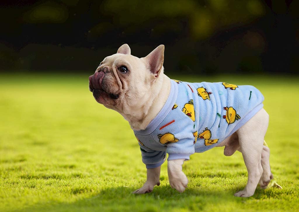 KUTKUT Fleece Dog Hoodie, Soft Flannel Dog Sweatshirt Clothes for Puppy Small Dogs, Cute Duck Winter Party Dress Up Clothes for French Bulldog, Shih Tzu, Poodle etc. - kutkutstyle