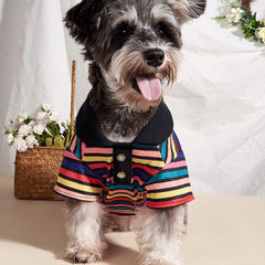 KUTKUT Hawaiian Dog & Cat Rainbow Shirt - Pet Summer T-Shirts Breathable Dog Clothes for Small Dogs Cats Pets, Hawaii Style Polo Dog Shirts Beach Seaside Puppy Outfit - kutkutstyle